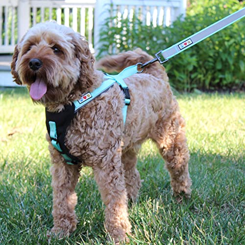 Pawtitas Vest Adjustable Padded Reflective Dog Harness Provides Comfort Control For Walk, Train And Reduces Pull Tugging Great Pet Accessories | Step In Dog Harness Large Green Vest #TOP1