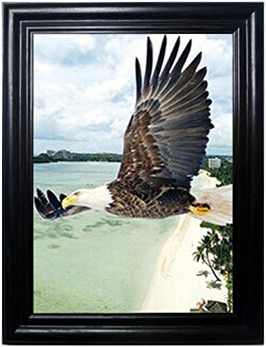Those Flipping Pictures-Framed (3 Eagles)