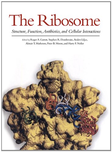 The Ribosome, Structure, Function, Antibiotics, and Cellular Interactions The Ribosome, Structure, Function, Antibiotics, and Cellular Interactions