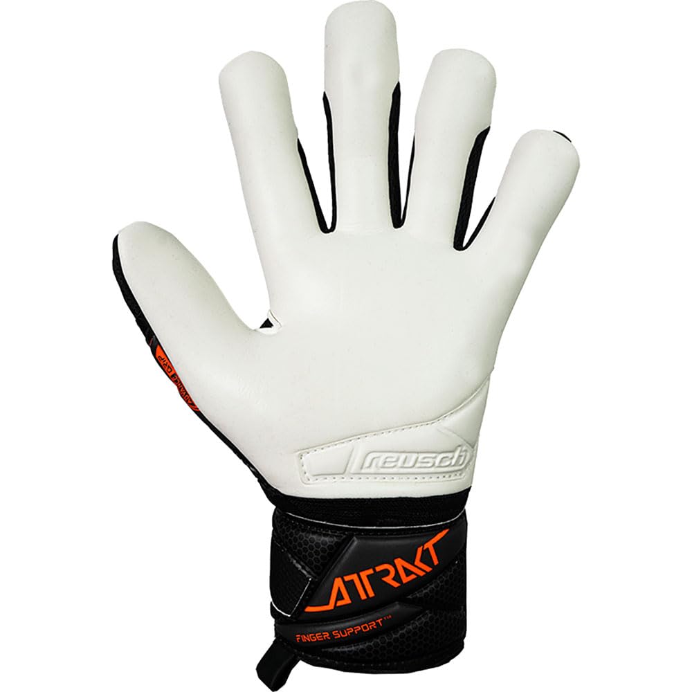 View 2