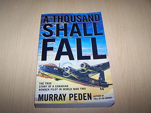 A Thousand Shall Fall view 2
