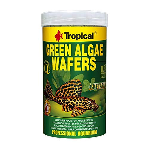 Tropical Green Algae Wafers 100 g Kovadan Bölme
