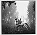 Male of the Species: Four Decades of Photography by Arthur Tress
