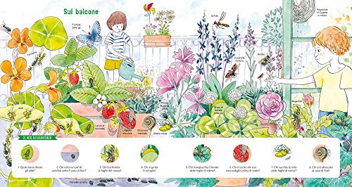 Il Grande Mondo Degli Animali Piccoli. Osserva E Scopri Gli Invertebrati - 7