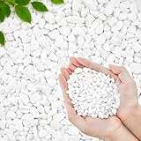 2.2 LB White Pea Gravel Pebbles for Plants, 6-9mmCover Gravel for Succulents and Cactus Natural Polished Pebbles for Vases, Aquarium, Bonsai, Bamboo, Hydroponics, Home Dcoration