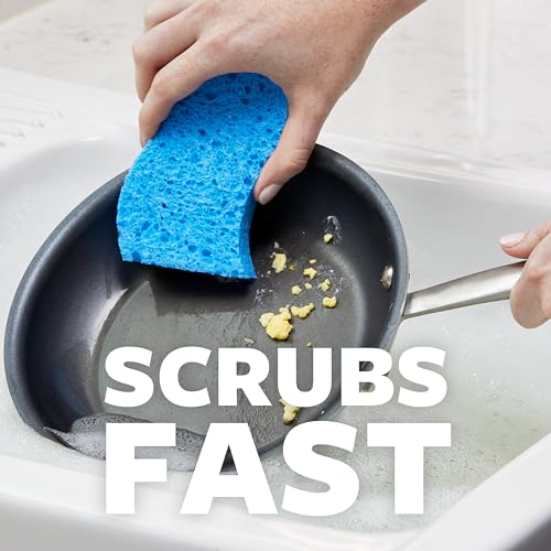 Image of Scotch-Brite Stay Fresh Sponge & Command Storage Bundle