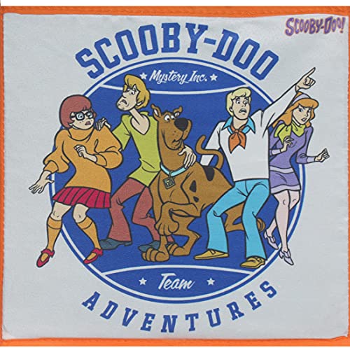 Image of Scooby Doo Toys Organizer Storage Box for Kids,Small (Pack of 1)