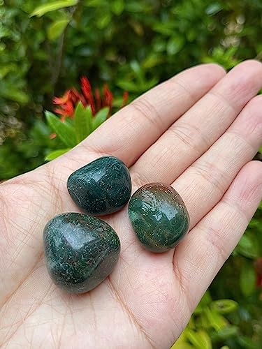Image of GAF TREASURES 1 /2 LB Bloodstone Tumbled Stones, Polished Natural Bloodstone Gemstone, Bloodstone Healing Crystals (Bloodstone)