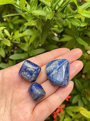 Image of GAF TREASURES 1 /2 LB Lapis Lazuli Tumbled Stones, Polished Lapis Lazuli Gemstone, Lapis Lazuli Healing Crystals (Lapis Lazuli)