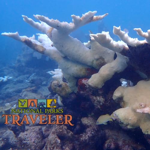 National Parks Traveler Podcast | Florida's Ailing Reef