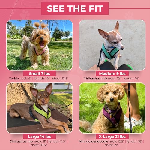 Gooby Comfort X Hundegeschirr zum Ziehen über den Kopf, komfortabel, kein Ziehen, für kleine bis mittelgroße Hunde, Würgeschutz, X-Design, für unterwegs, für Innen- und Außenbereich, Größe M, Schwarz