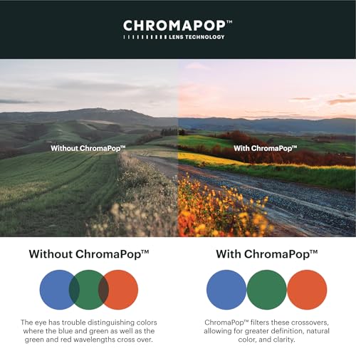 Image of SMITH Wildcat Sunglasses with Chromapop Lenses - Polarized Sunglasses - for Men & Women