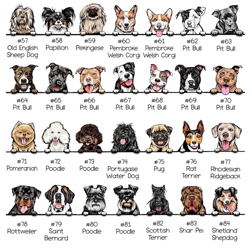 Custom Baby Bodysuit with Pet, Pregnancy Annoucement Gifts, Protected by Dog Cat Onesie, Dog-Themed Onesie, Dog Onesie for Baby, Funny Baby Onesie, Custom Baby Onesie Cute, Baby Bodysuit4