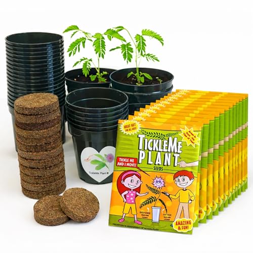 TickleMe Plant Classroom or Homeschool Science Fun Planting Party Kit – for 30 Students – Grow a Sensitive Plant That Reacts to Touch – Includes Activity Book and Seeds for Kids to Plant
