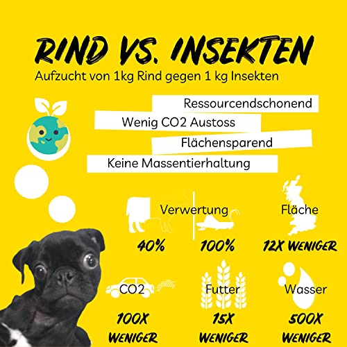BugBell 8x150g Hundekeks, Gesunde Hundekekse zum Training o. als Snack, Belohnungs-Leckerli für aktive Hunde, Banane & Chia & Lachsöl & L-Carnitin als Energielieferanten, hergestellt in DE, sensitiv