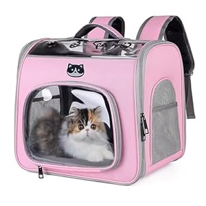 Cat Carrier, Pet Backpack for Small Dog, Portable Pet Travel Carrier, Transparent & Foldable Design, Airline Approved, Ideal for Traveling/Hiking (Pink)