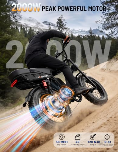 Image of Jasion RetroVolt Max Electric Bike, Dual Battery, 150-Mile Range, Fat Tire