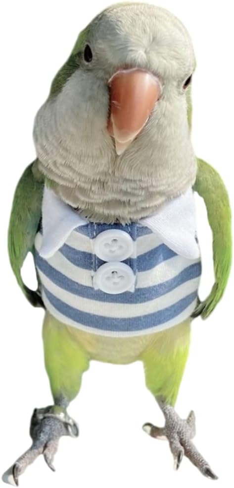 Bird Costume Bird Diaper Flight Suit Bird Summer Clothes Polo Shirts Cosplay Photo Prop for Parrots Lovebird Parakeet Cockatiel Small Animals Apparel (WithoutDiaper,Sun Conure)