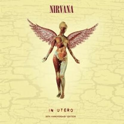 NIRVANA - IN UTERO : 20TH ANIVERSARY (3LP) por Nirvana — capa do álbum