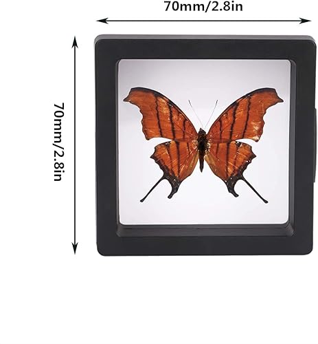 Miniatura 2 de Vitrina flotante 3D, paquete de 12 vitrinas para monedas, exhibición de monedas de desafío con base, soporte de exhibición de marco flotante 3D de