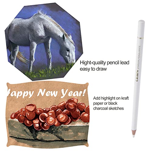 Qionew White Charcoal Pencils Drawing Set, Set Of 6 White Drawing Pencil For Illustration,Shading, Blending,Sketching,Black Paper,For Add Highlight On Kraft Paper,Black Cardboard & Charcoal Sketches #TOP6