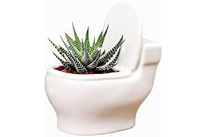 Ceramic White Toilet Pot-Humorous Yet Adorable