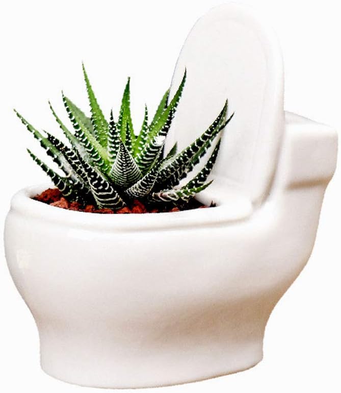 Ceramic Toilet Plant Pot/Bonsai Pot/Flower Pot/Succulent Planter(White) (4.6")