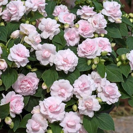 View 3