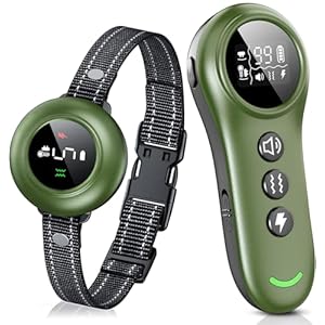 2-in-1 Dog Shock Collar & Dog ...