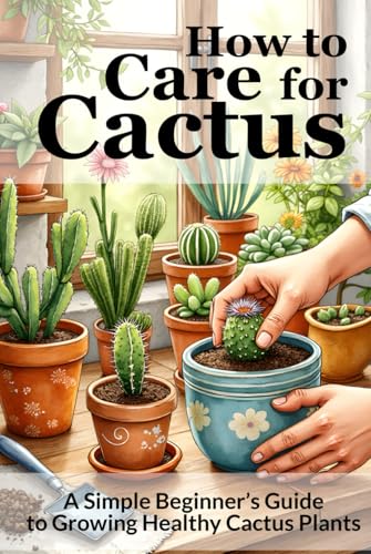 How to Care for Cactus: A Simple Beginner’s Guide to Growing Healthy Cactus Plants