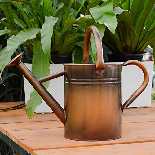 yourjoy Sliver Galvanized Steel Watering Can with Copper Accents,Removable Rosette-Diffuser,One-Gallon