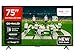 TCL 75 Zoll 75Q6C QLED Mini LED Fernseher, 4K HDR Premium, Dolby Vision IQ & Atmos, Onkyo 2.1, Smart Google TV, Game Master, 144Hz Motion Clarity Pro, AMD FreeSync Premium Pro, HDMI 2.1, AirPlay 2