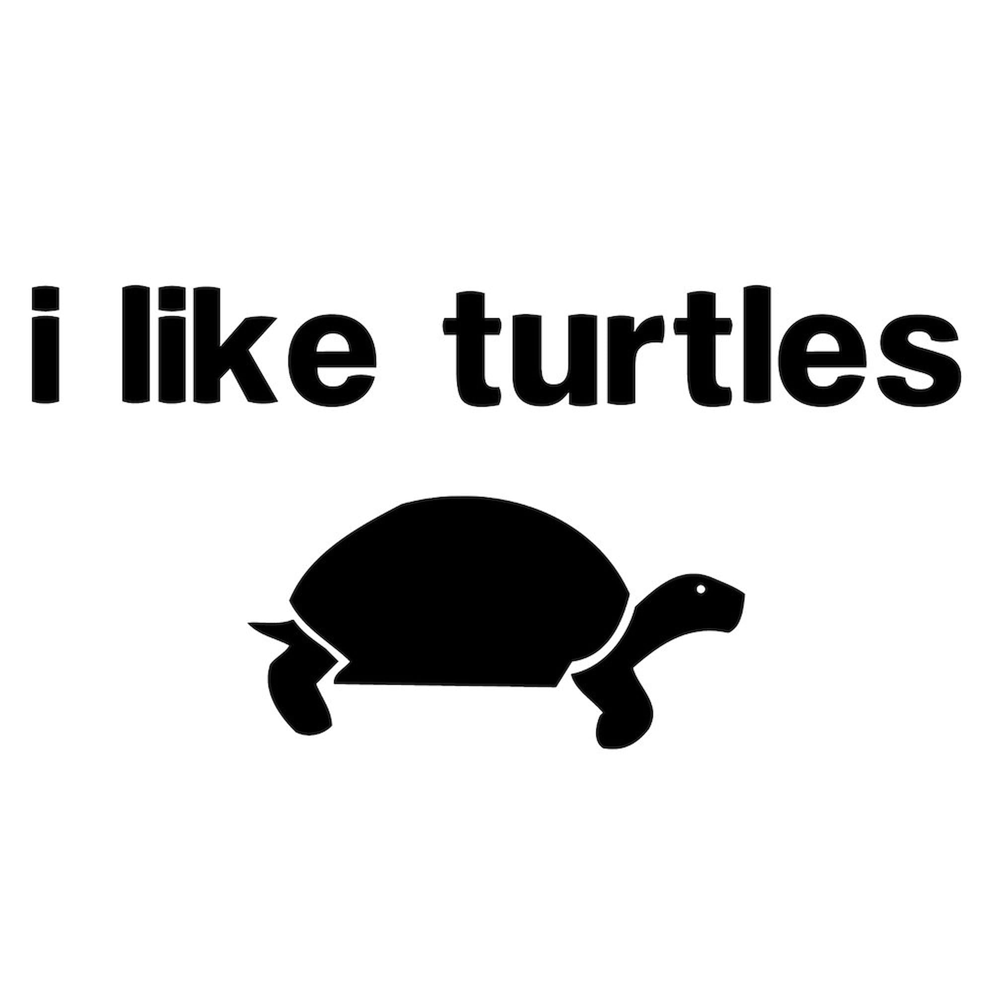 CafePress I Like Turtles Sticker Oval Car Bumper Sticker