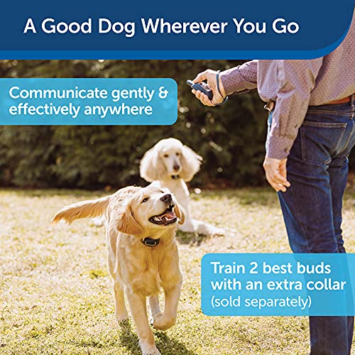 PetSafe Remote Spray Trainer 3 in 1 Dog Training Solution Tone