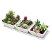 Set of 3 Decorative Modern White Square Flower, Succulent Planters / Dishes with Display Tray