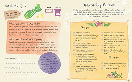 From Bump to Baby: A Pregnancy Journal (My Baby and Me)