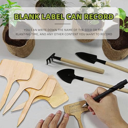 Kit de cultivo de árbol bonsai todo en uno miniatura 5