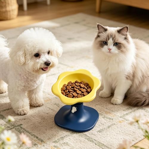 Gamelles anti-basculement pour animaux de compagnie avec base stable - 4