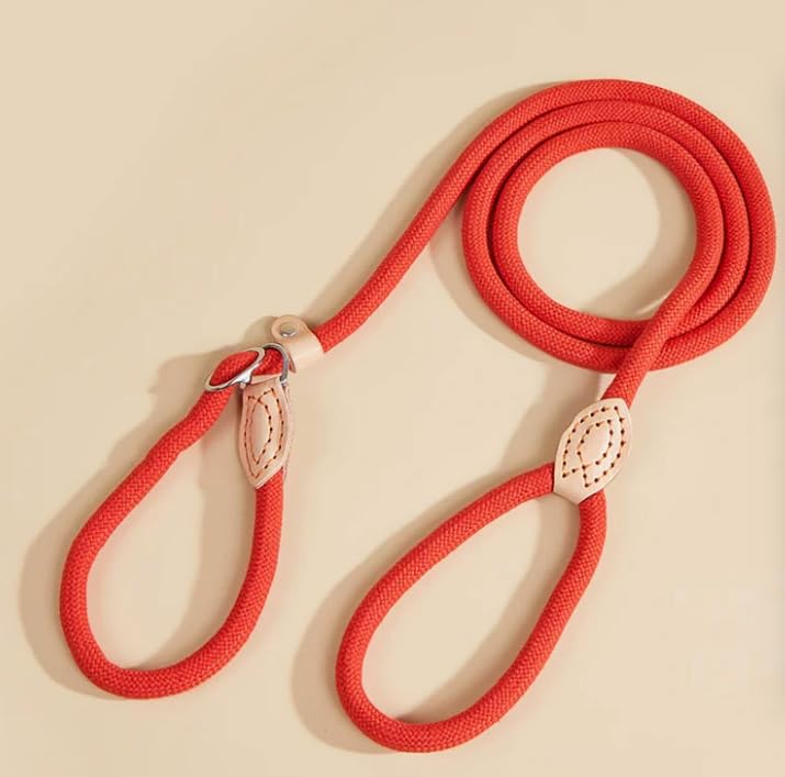 Slip Lead, Dog Training, Adjustable Anti-Choke Nylon Rope with Leather binding (Red, Medium) โ image 1
