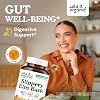 Wild & Organic Mastic Gum 120 Capsules & Slippery Elm 120 Capsules