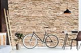 revestimiento techo interior madera ✅ Además en el paquete: recibirá un póster XXL gratis del Skyline de Nueva York (42 x 120 cm) en calidad premium, acabado con barniz UV. ¡Ideal como regalo o decoración!