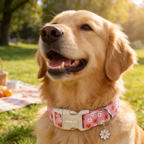 Image of ARING PET Girl Dog Collar for Puppy Small Medium Large Dogs-Pink Floral M | Cute Spring Summer Flower Pet Collars for XS S M L XL Girl Female Dogs, Soft Comfy Sturdy, Neighborhood Stroll Everyday Wear