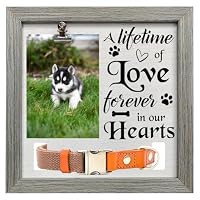 Cornice Ricordo Per Animali Domestici FINGERINSPIRE – 15x10 Cm – Con Scritta "You Were My Favorite Hello And My Hardest Goodbye" E Zampa