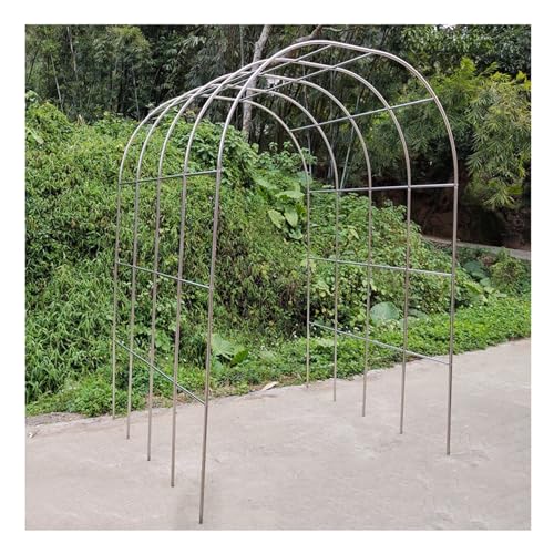 Arche de rosiers rigide de 38 cm pour dompter vos plantes grimpantes