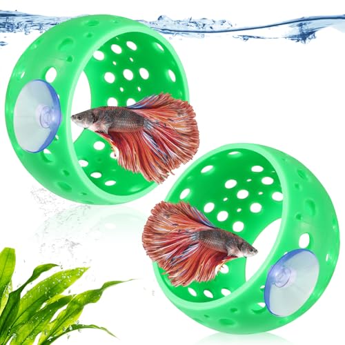 Editbar 2 Stück Aquarium Deko Versteck & Hängematte – Betta Höhle Rückzugsorte mit Saugnapf, Aquarium Dekoration Zubehör, Tunnel, Ideal für Kampffische, Garnelen, Zierfische Versteck (Grün) Editbar 2 Stück Aquarium Deko Versteck & Hängematte – Betta Höhle Rückzugsorte mit Saugnapf, Aquarium Dekoration Zubehör, Tunnel, Ideal für Kampffische, Garnelen, Zierfische Versteck (Grün)