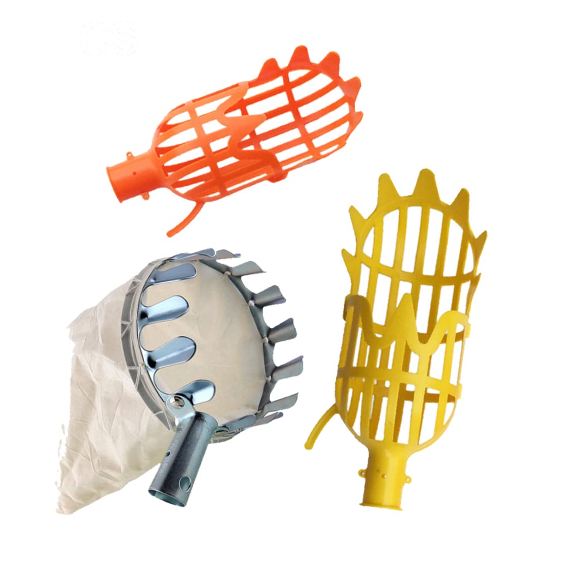 Outils cueillette télescopiques de fruits pour attraper facilement pêches et litchis