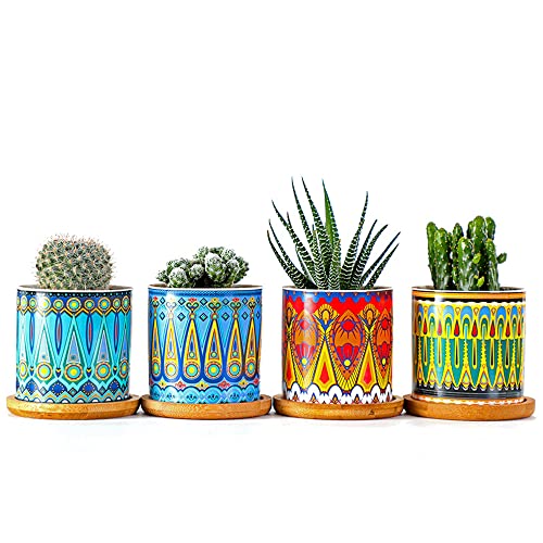 Pot de fleur pour succulente avec plateau pour éviter les fuites d'eau - 5