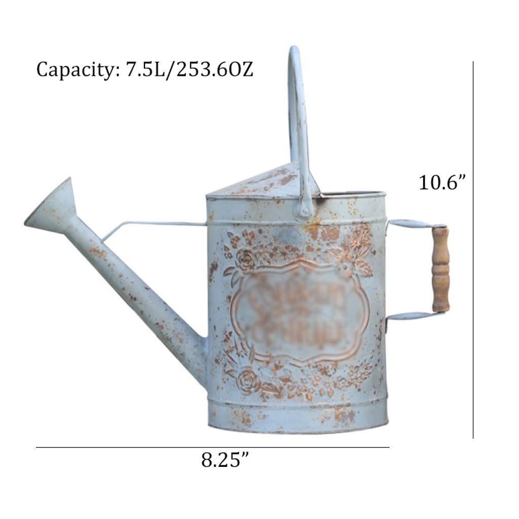 Gießkannen 7,5 l Retro-Gießkanne aus Metall, Sprinkler im Landhausstil mit Sprühdüse for schnelles und einfaches Pflanzen, Bewässerung 253,6 oz