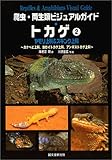 爬虫・両生類ビジュアルガイド トカゲ (2 ヤモリ上科&スキンク上科)
