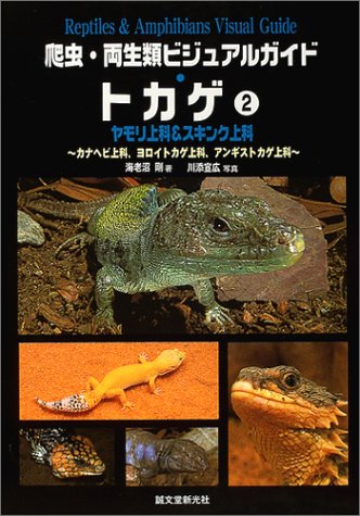 爬虫・両生類ビジュアルガイド トカゲ (2 ヤモリ上科&スキンク上科)の詳細を見る